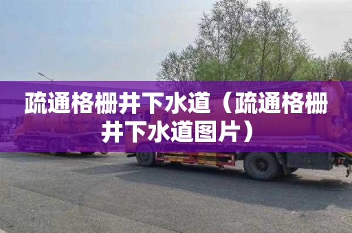 疏通格栅井下水道（疏通格栅井下水道图片）