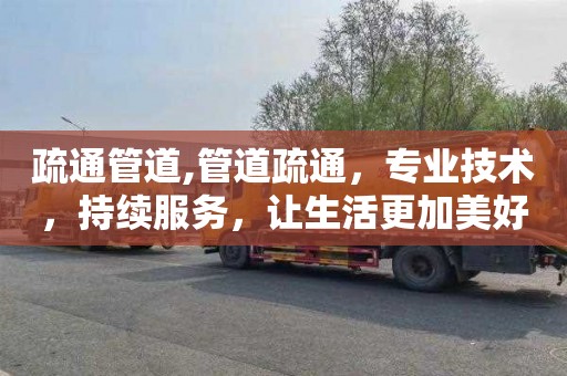 疏通管道,管道疏通，专业技术，持续服务，让生活更加美好