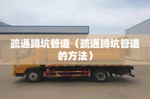 疏通蹲坑管道（疏通蹲坑管道的方法）