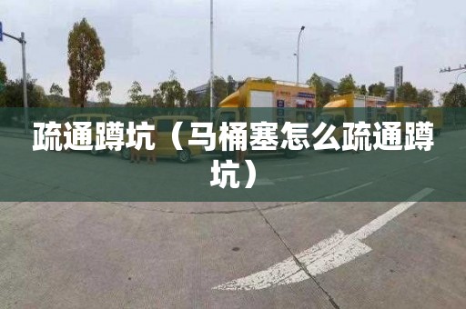 疏通蹲坑（马桶塞怎么疏通蹲坑）