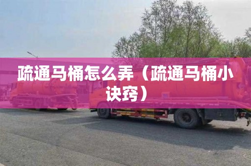 疏通马桶怎么弄（疏通马桶小诀窍）