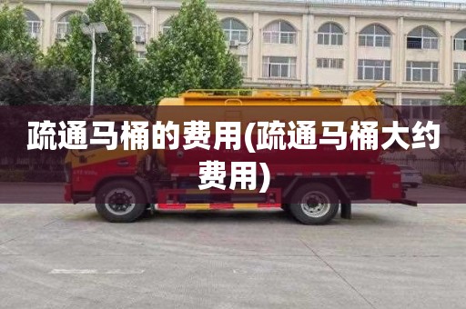 疏通马桶的费用(疏通马桶大约费用)