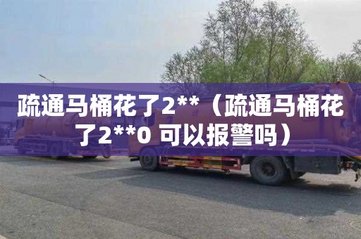 疏通马桶花了2**（疏通马桶花了2**0 可以报警吗）