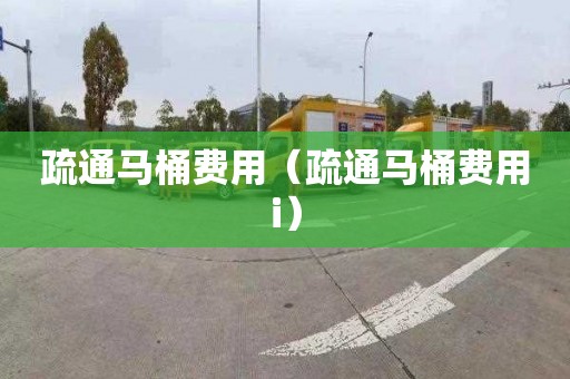 疏通马桶费用（疏通马桶费用i）