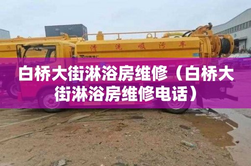 白桥大街淋浴房维修（白桥大街淋浴房维修电话）