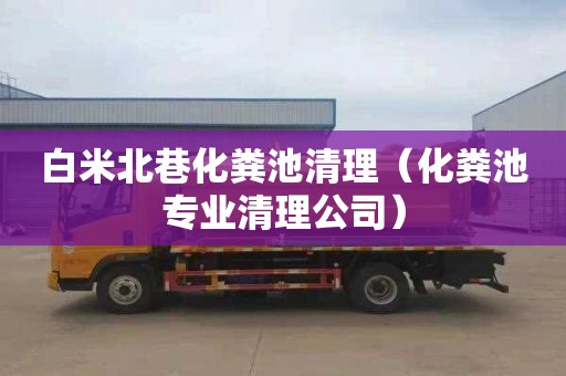 白米北巷化粪池清理（化粪池专业清理公司）