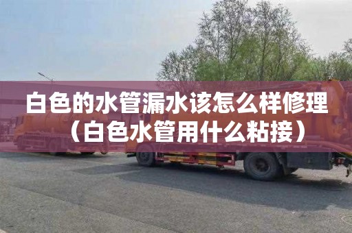 白色的水管漏水该怎么样修理（白色水管用什么粘接）