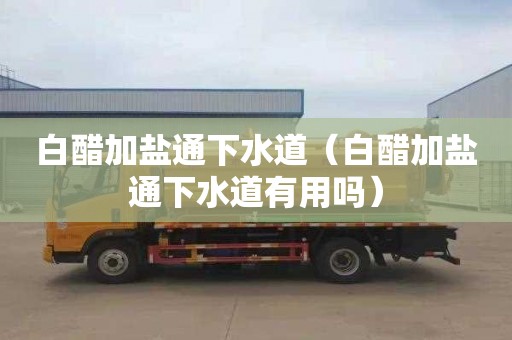 白醋加盐通下水道（白醋加盐通下水道有用吗）