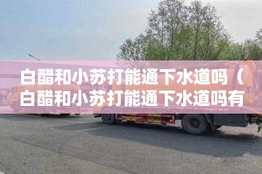 白醋和小苏打能通下水道吗（白醋和小苏打能通下水道吗有毒吗）