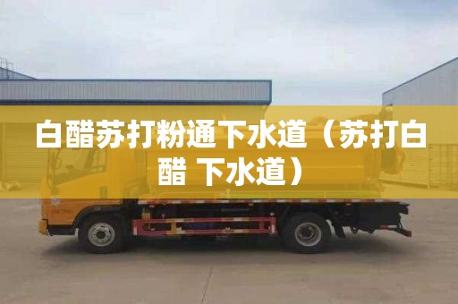 白醋苏打粉通下水道（苏打白醋 下水道）