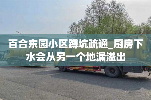 百合东园小区蹲坑疏通_厨房下水会从另一个地漏溢出