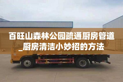 百旺山森林公园疏通厨房管道_厨房清洁小妙招的方法