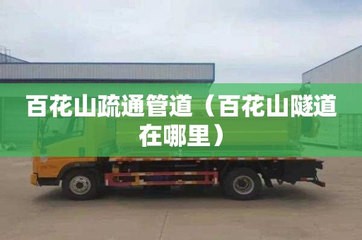 百花山疏通管道（百花山隧道在哪里）