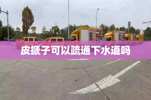 皮搋子可以疏通下水道吗