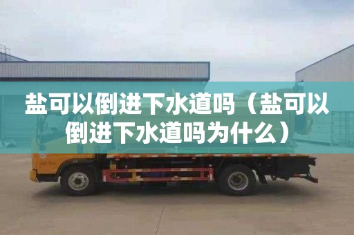 盐可以倒进下水道吗（盐可以倒进下水道吗为什么）