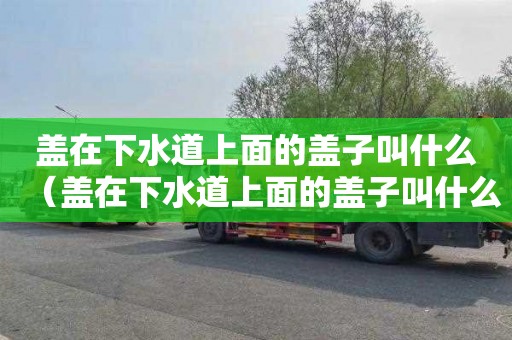 盖在下水道上面的盖子叫什么（盖在下水道上面的盖子叫什么名字）