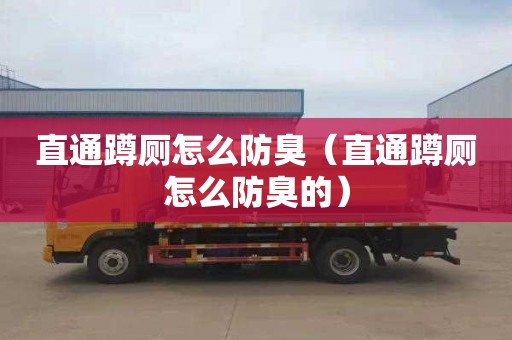 直通蹲厕怎么防臭（直通蹲厕怎么防臭的）