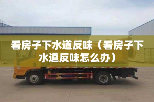 看房子下水道反味（看房子下水道反味怎么办）