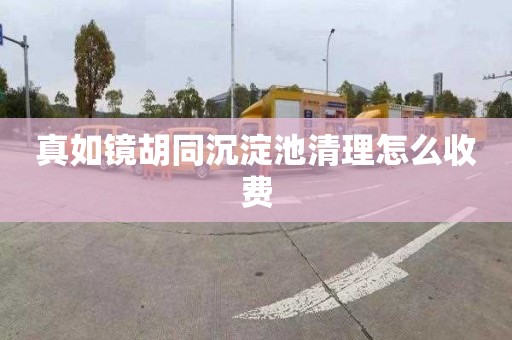 真如镜胡同沉淀池清理怎么收费