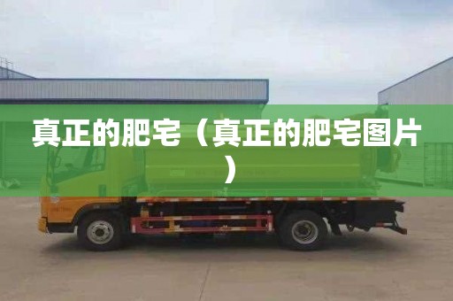 真正的肥宅（真正的肥宅图片）
