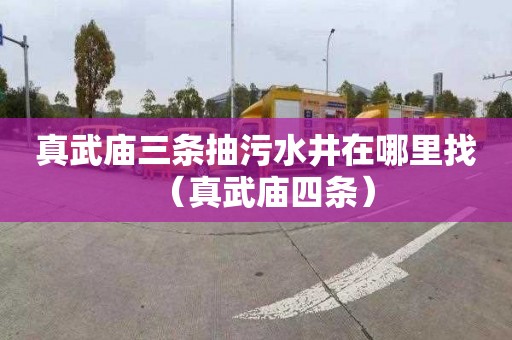 真武庙三条抽污水井在哪里找（真武庙四条）