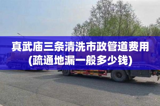 真武庙三条清洗市政管道费用(疏通地漏一般多少钱)