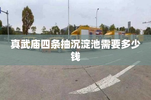 真武庙四条抽沉淀池需要多少钱