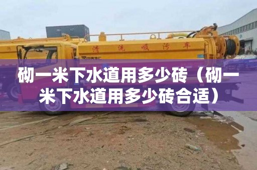 砌一米下水道用多少砖（砌一米下水道用多少砖合适）