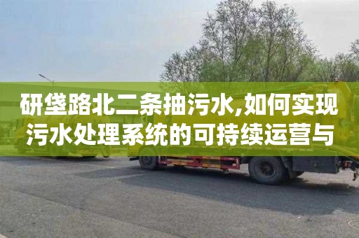 研垡路北二条抽污水,如何实现污水处理系统的可持续运营与发展？