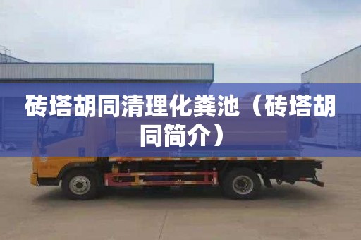 砖塔胡同清理化粪池（砖塔胡同简介）