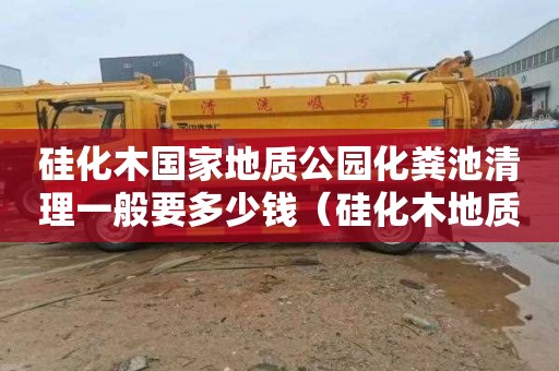硅化木国家地质公园化粪池清理一般要多少钱（硅化木地质公园门票）