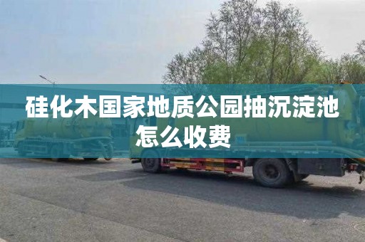 硅化木国家地质公园抽沉淀池怎么收费