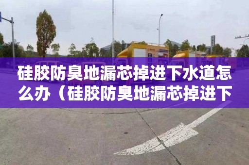 硅胶防臭地漏芯掉进下水道怎么办（硅胶防臭地漏芯掉进下水道怎么办呢）