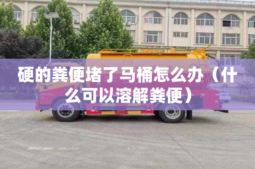 硬的粪便堵了马桶怎么办（什么可以溶解粪便）