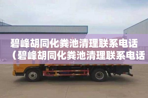 碧峰胡同化粪池清理联系电话（碧峰胡同化粪池清理联系电话号码）