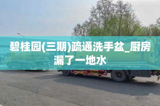 碧桂园(三期)疏通洗手盆_厨房漏了一地水