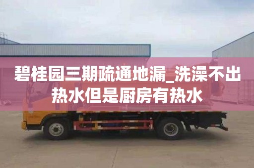 碧桂园三期疏通地漏_洗澡不出热水但是厨房有热水