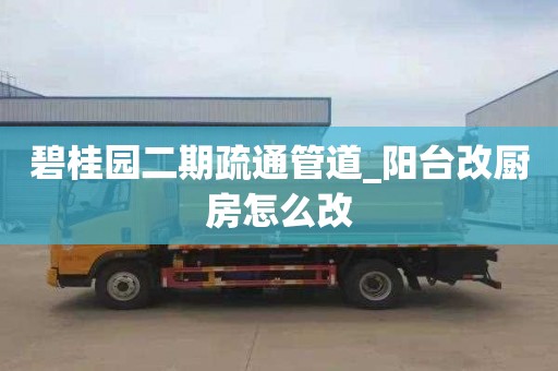 碧桂园二期疏通管道_阳台改厨房怎么改
