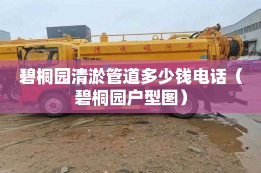 碧桐园清淤管道多少钱电话（碧桐园户型图）