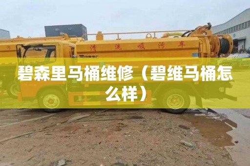 碧森里马桶维修（碧维马桶怎么样）