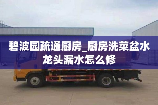 碧波园疏通厨房_厨房洗菜盆水龙头漏水怎么修