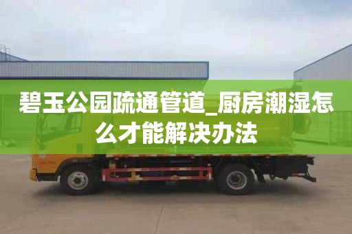 碧玉公园疏通管道_厨房潮湿怎么才能解决办法