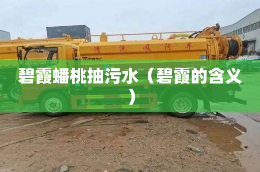 碧霞蟠桃抽污水（碧霞的含义）