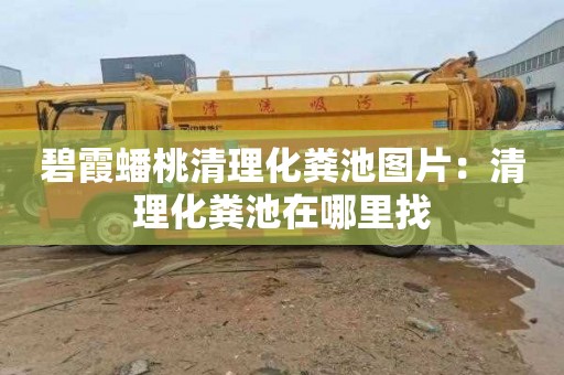 碧霞蟠桃清理化粪池图片：清理化粪池在哪里找