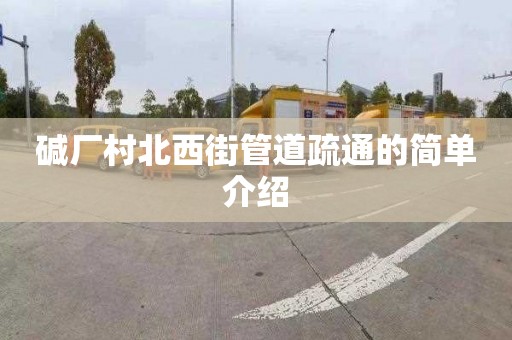 碱厂村北西街管道疏通的简单介绍