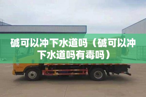 碱可以冲下水道吗（碱可以冲下水道吗有毒吗）