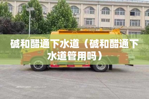 碱和醋通下水道（碱和醋通下水道管用吗）
