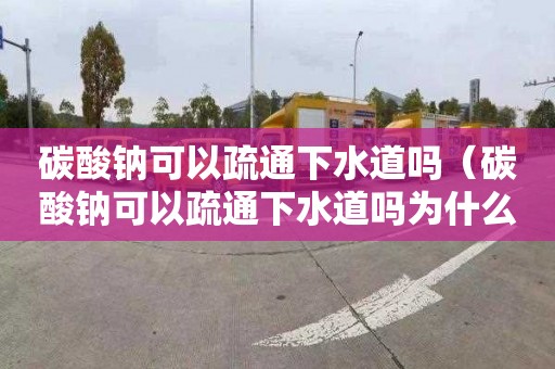 碳酸钠可以疏通下水道吗（碳酸钠可以疏通下水道吗为什么）