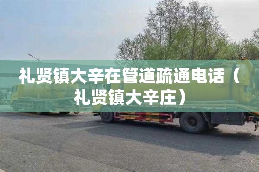 礼贤镇大辛在管道疏通电话（礼贤镇大辛庄）