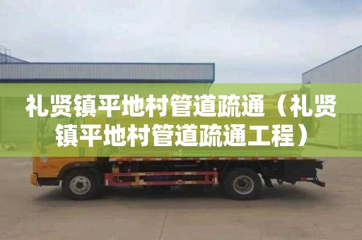 礼贤镇平地村管道疏通（礼贤镇平地村管道疏通工程）